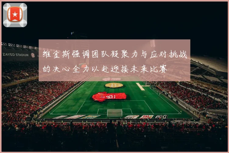 维金斯强调团队凝聚力与应对挑战的决心全力以赴迎接未来比赛