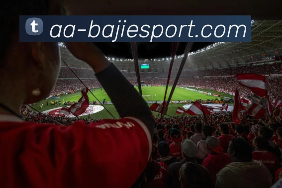 多媒体互动体验