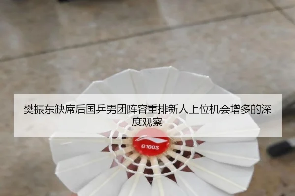 樊振东缺席后国乒男团阵容重排新人上位机会增多的深度观察（BAJIESPORTS）